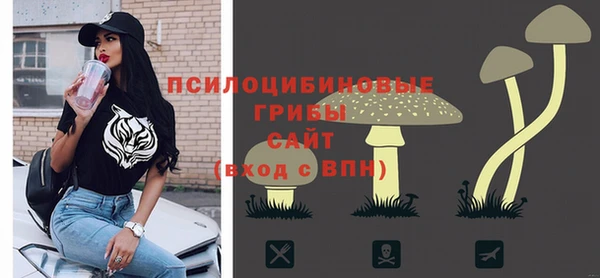 PSILOCYBIN Абаза