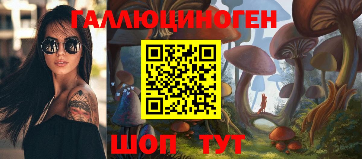 Псилоцибиновые грибы GOLDEN TEACHER Приморско-Ахтарск