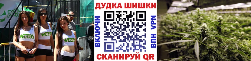 Каннабис индика  купить закладку  Приморско-Ахтарск 