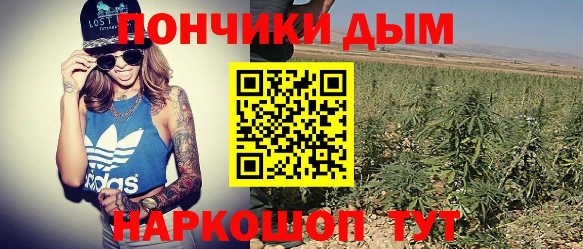 Бошки марихуана Bruce Banner  Вход с VPN  Приморско-Ахтарск  Шишки марихуана White Widow  Канабис планчик 